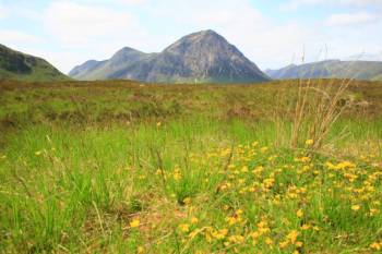 Buachaille Etive Mor, West Highland Way Scotland