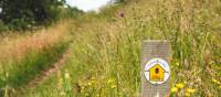 Waymarking on the Cotswold Way | Tom McShane