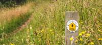 Waymarking on the Cotswold Way | Tom McShane