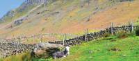 Langdale Pikes from Mickleden, Great Langdale | John Millen