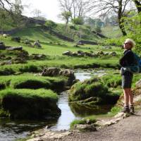 Limestone  tream at Malham | John Millen