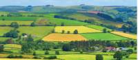  Colourful summer pastures |  <i>John Millen</i>