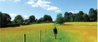 Hay meadows out of Chepstow |  <i>John Millen</i>