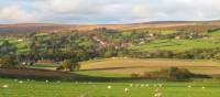 Overlooking High Moor, Danby | John Millen
