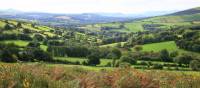 Bucolic countryside around the Wicklow Way | John Millen