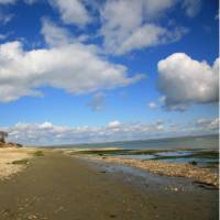 Beach near Bembridge