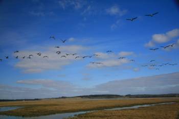 Flying over Newtown Bay