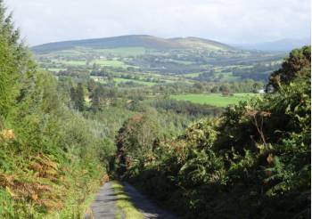 The Wicklow Way near Boley&#160;-&#160;<i>Photo:&#160;John Millen</i>