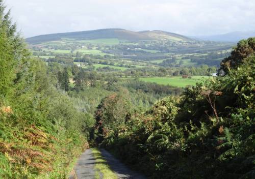 The Wicklow Way near Boley&#160;-&#160;<i>Photo:&#160;John Millen</i>