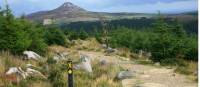 Trail  and waymarking on Wicklow way |  <i>John Millen</i>