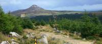 Trail  and waymarking on Wicklow way | John Millen