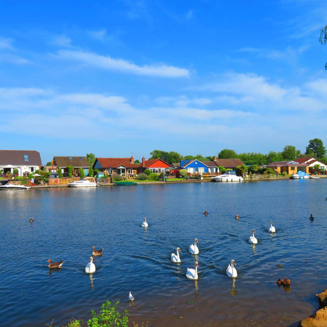 The Thames near Sunbury | John Millen