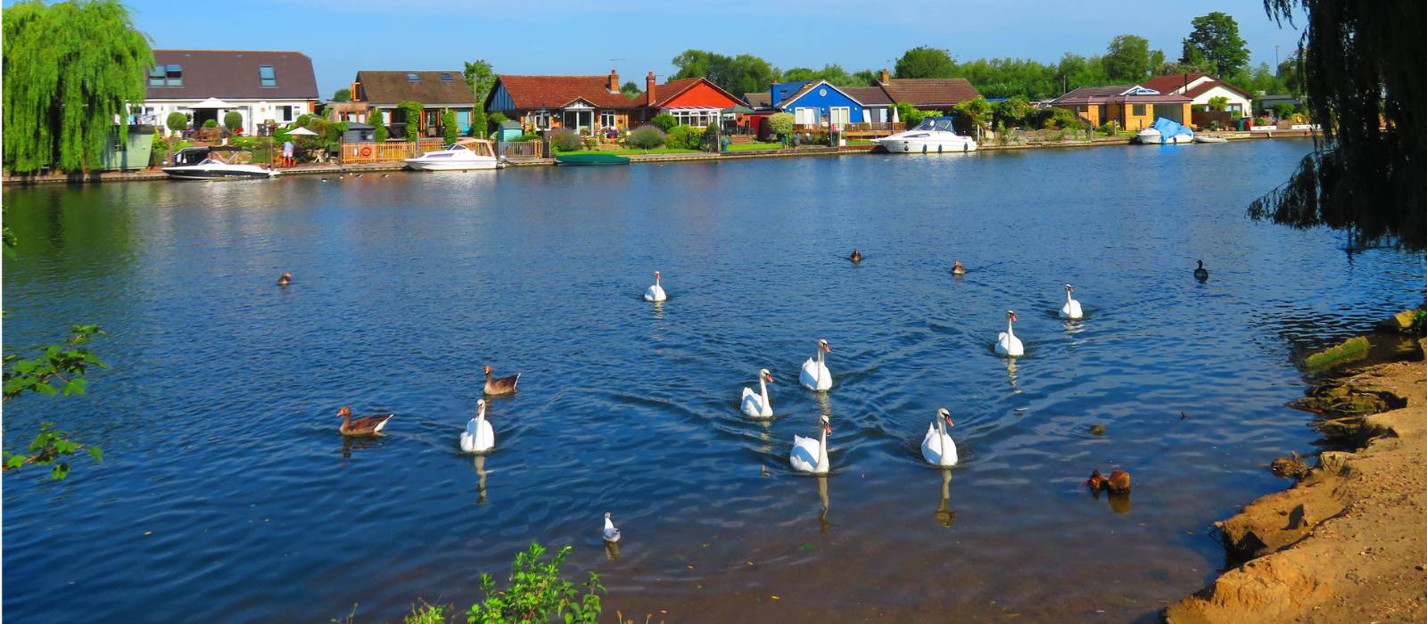 The Thames near Sunbury | John Millen