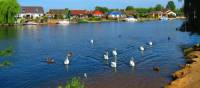 The Thames near Sunbury | John Millen
