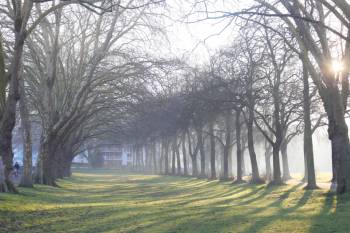 Morning sun, Wandsworth Park&#160;-&#160;<i>Photo:&#160;John Millen</i>