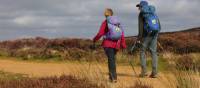 Walkers near Kildale | John Millen