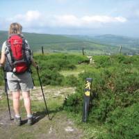 A hiker on the Wicklow Way