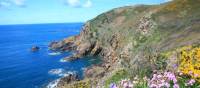 Spring on the Guernsey coastline | John Millen