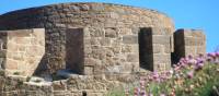 Fort Hommet, Guernsey and seapinks | John Millen