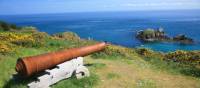 A cannon overlooking Petit Derrible Bay | John Millen