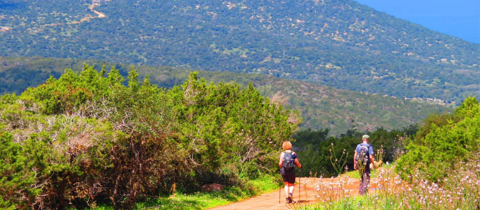 Walking down to Fontana Amorosa | John Millen