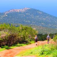 Walking down to Fontana Amorosa | John Millen