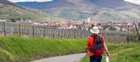 Hiking between the vineyards of Alsace | Charles Hawes