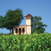 Vineyards above Meursault