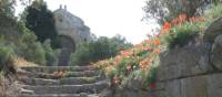 Old streets around Alpilles, Southern France