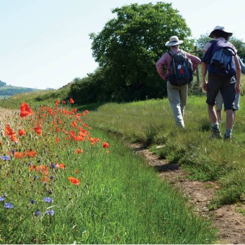 Calendrier Trail Bourgogne 2023 Burgundy Vineyard Trails Self Guided Walking Tour, Hiking France