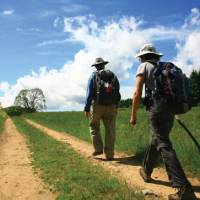 Walking Towards Lamastre