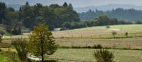 Walking through fields in Bavaria | Will Copestake