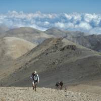 Walking in the rugged ‘White Mountains’