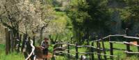 Approaching San Luigi, Italy's Apuane Alps