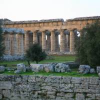 Basilica Temple, Paestum, Cilento | John Millen