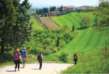 On the way to Montalcino&#160;-&#160;<i>Photo:&#160;John Millen</i>