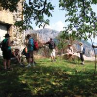 Rest stop under a walnut tree on the way to Pogerelo