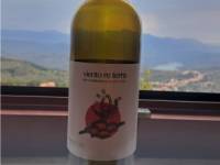 The organic Italian wine served in Rocca Cilento on our walking holiday |  <i>Cindy S.</i>