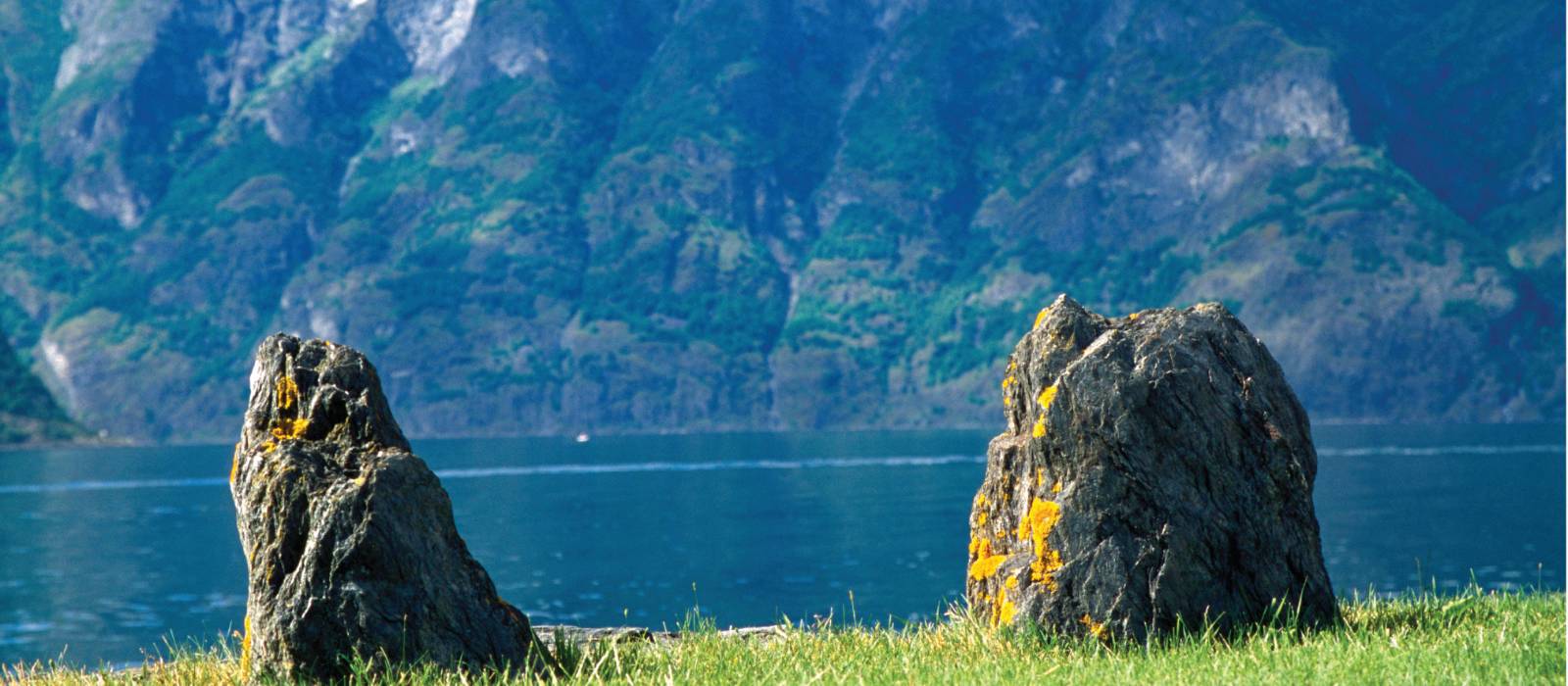 Field near Aurland