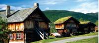 Traditional Norwegian houses