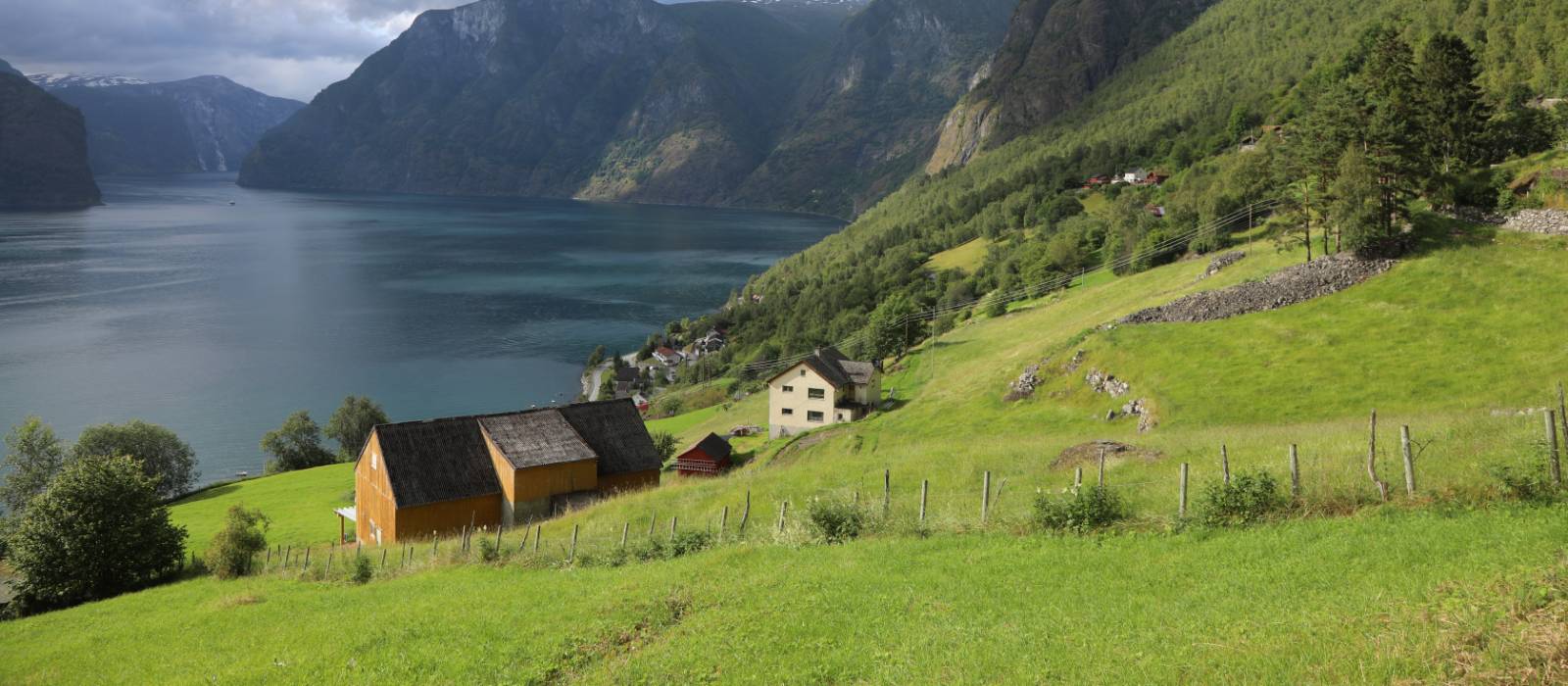 Pastures above Aurlandsfjord |  <i>John  Millen</i>