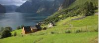 Pastures above Aurlandsfjord |  <i>John  Millen</i>