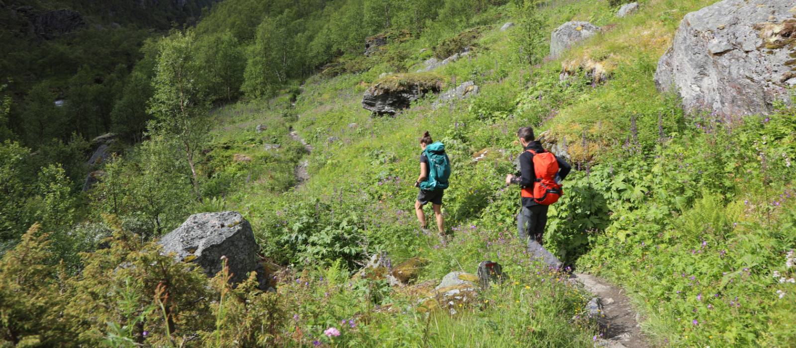 Walkers on the Osterbo walk |  <i>John Millen</i>