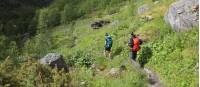 Walkers on the Osterbo walk |  <i>John Millen</i>