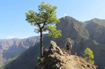 View point near Pico Bejenado&#160;-&#160;<i>Photo:&#160;John Millen</i>