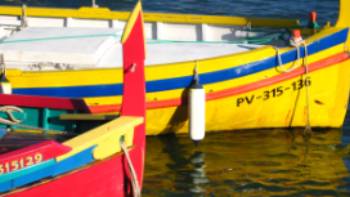 Boats of colour at Collioure