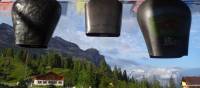 Cowbells in the Swiss Alps | Go hiking in the Alps