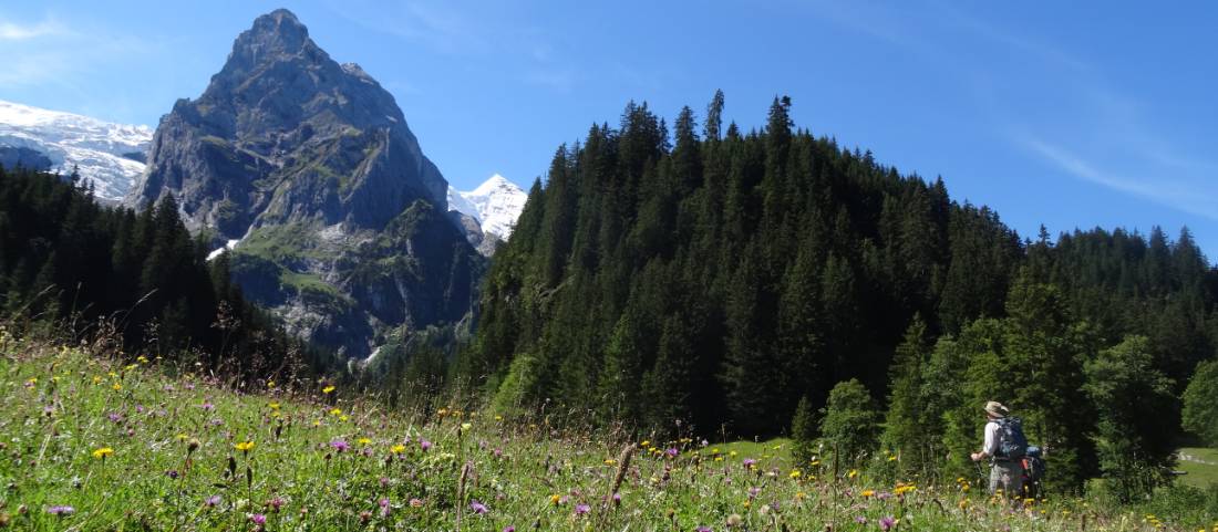 Stunning views across alpine meadows |  <i>Jon Millen</i>