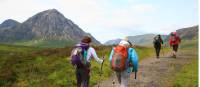 Walking the West Highland Way