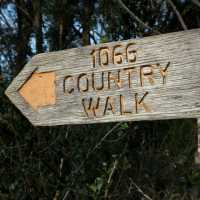 1066 Trail Waymark | Tony Skerl